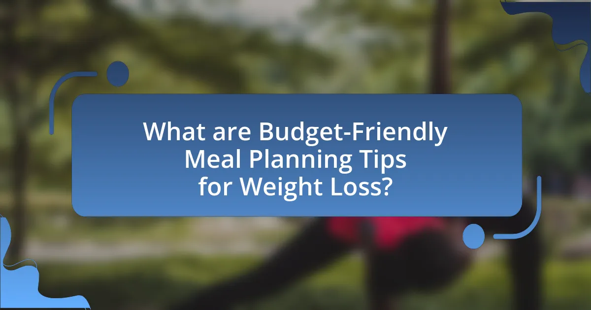 What are Budget-Friendly Meal Planning Tips for Weight Loss?