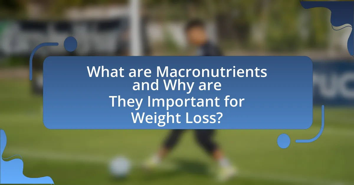 What are Macronutrients and Why are They Important for Weight Loss?